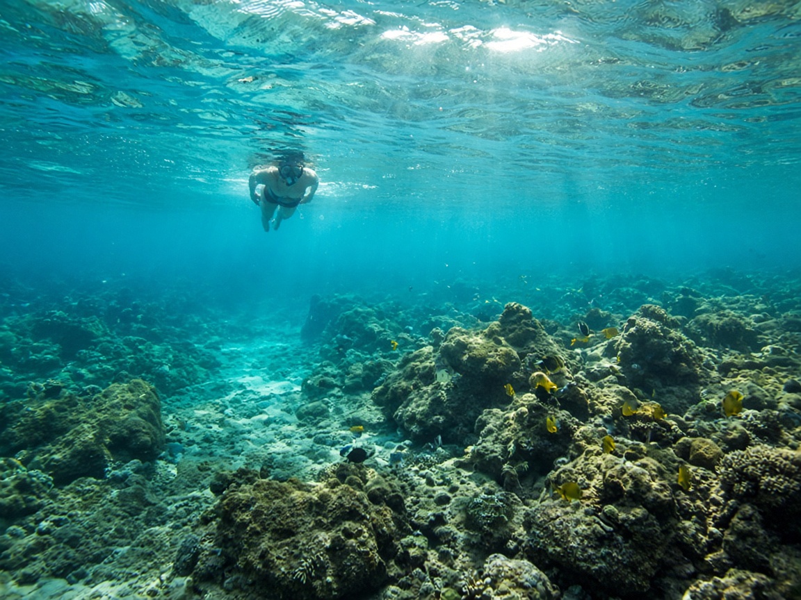 Snorkeler swimming among tropical fish in clear Pacific water off Costa Rica