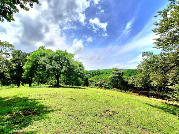 terreno en venta guanacaste costa rica