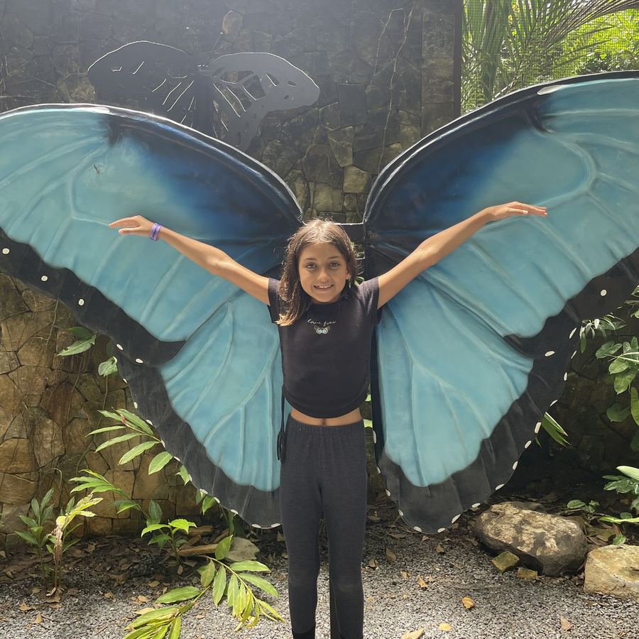 Jardín de mariposas